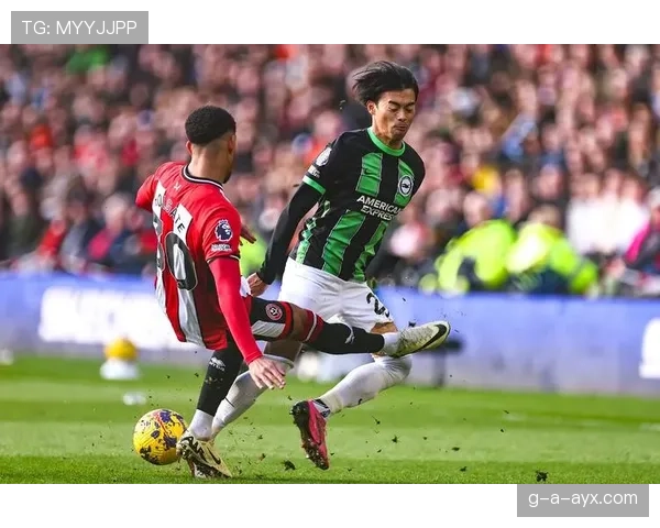 谢菲尔德联积极布局转会窗，多线引援力图提升球队实力