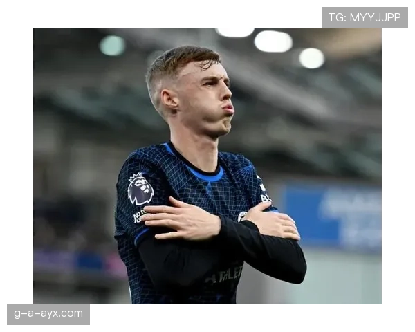 帕尔默与厄德高：中场组织效率及战术适配性对比分析