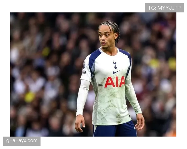 德甲新星表现与潜力分析